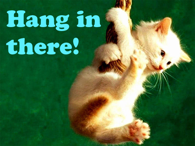 hang in there cat clipart - photo #47