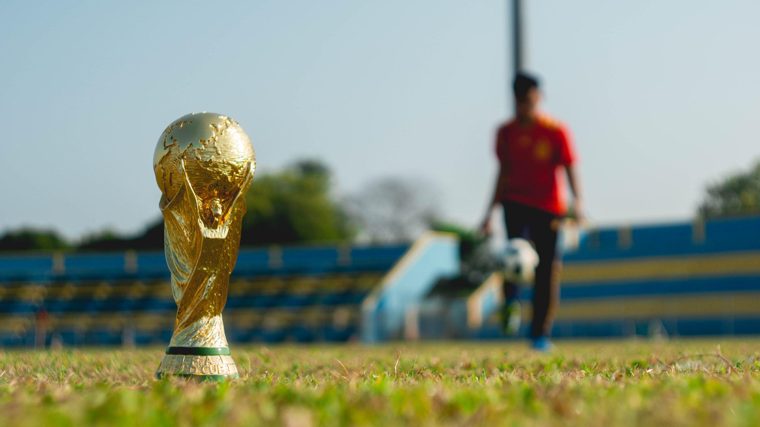 World Cup 2022: Group F preview